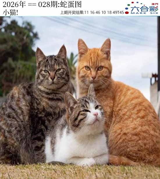 028期正版蛇蛋图[图]