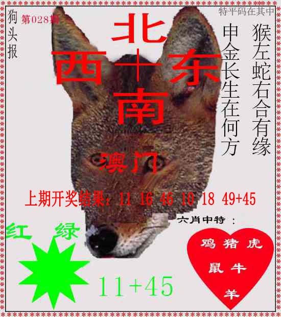 028期狗头报[图]
