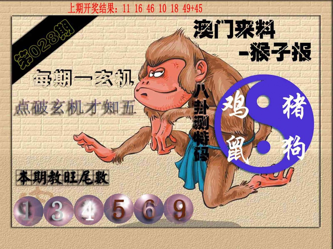 028期(来料)猴报[图]