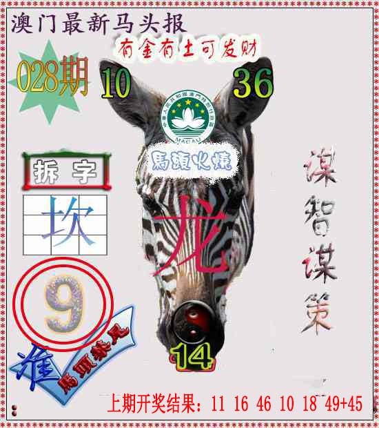 028期马头报[图]