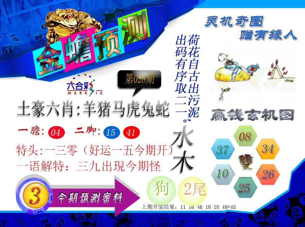 028期金蟾预测[图]