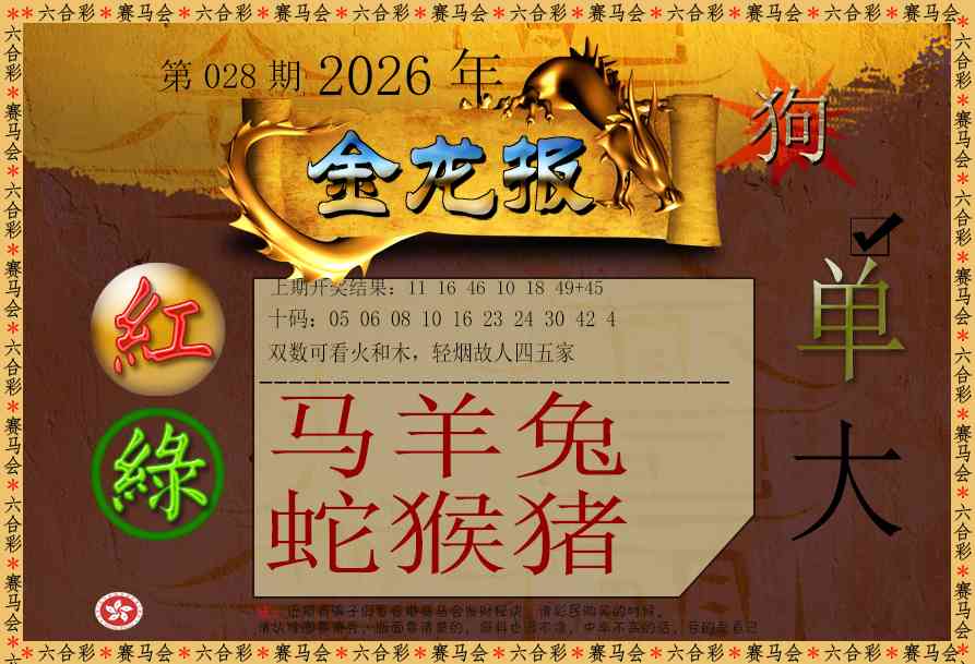 028期金龙报[图]