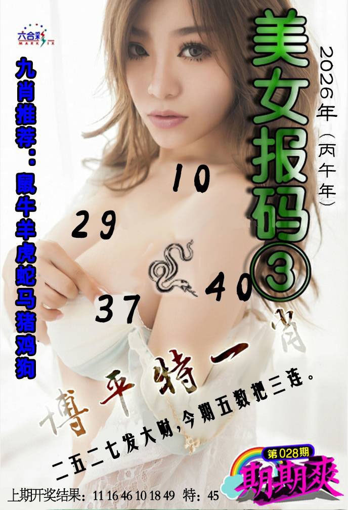 028期美女码报3[图]