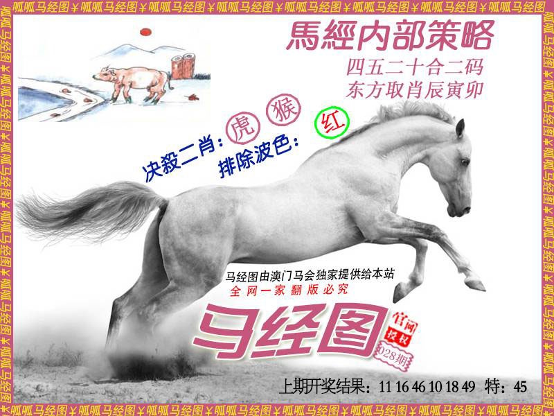028期马经5[图]