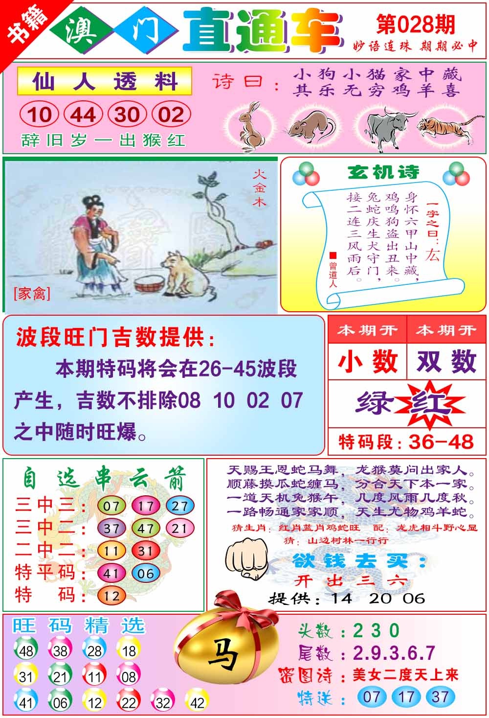 028期白姐直通车[图]