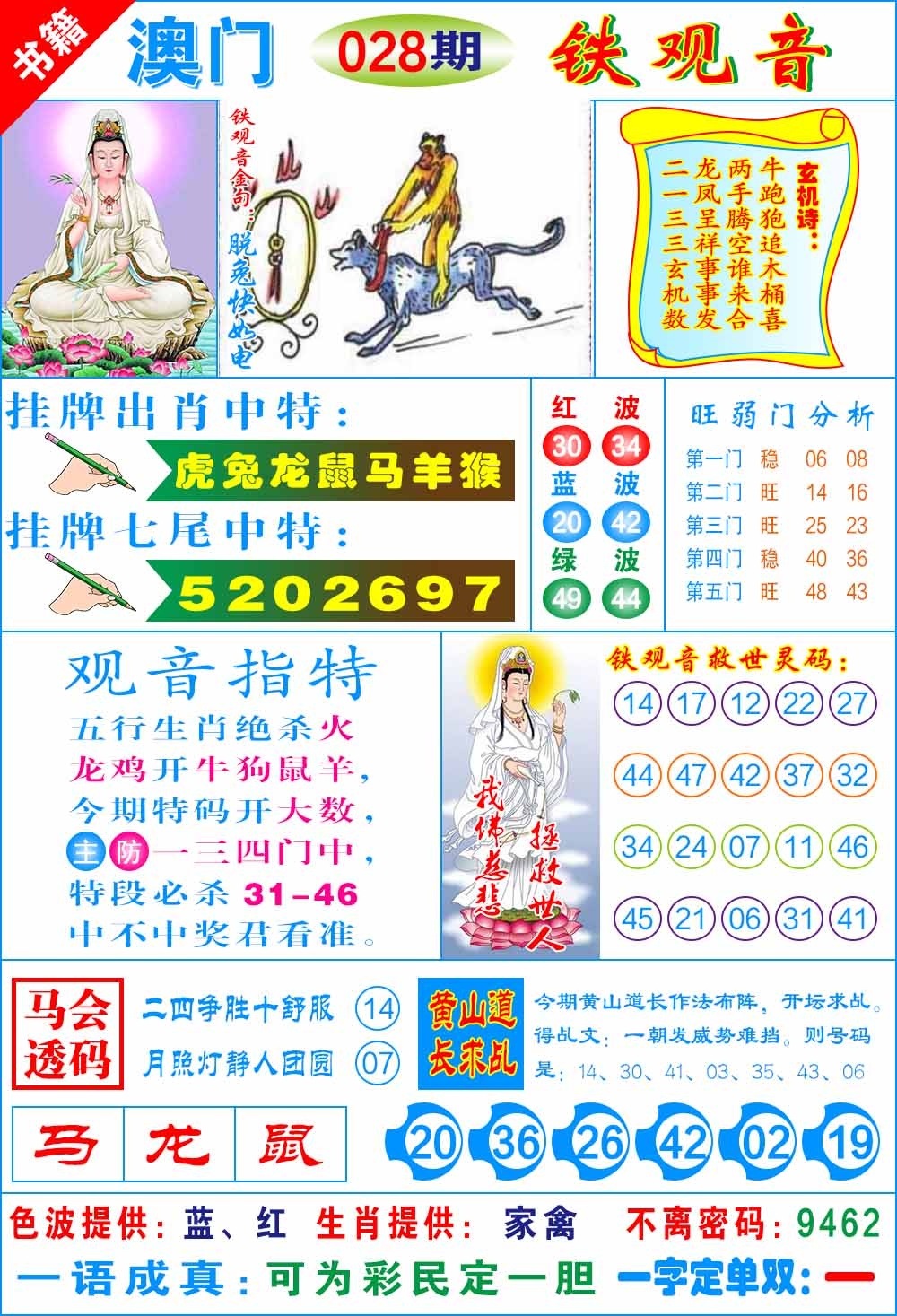 028期澳门铁观音[图]