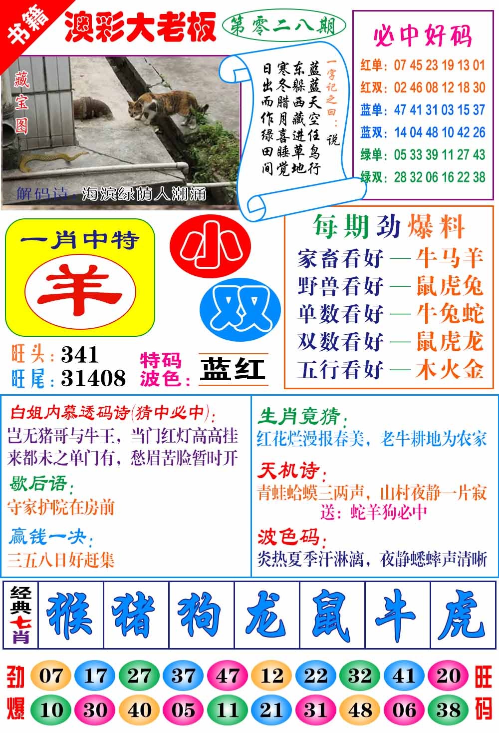 028期澳门大老板[图]