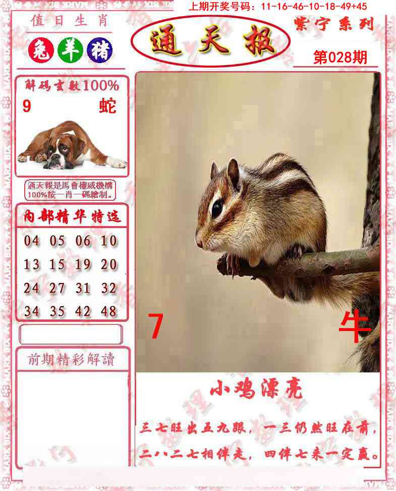 028期救通报[图]