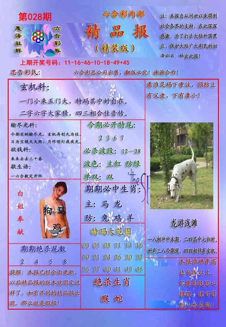 028期精品报[图]