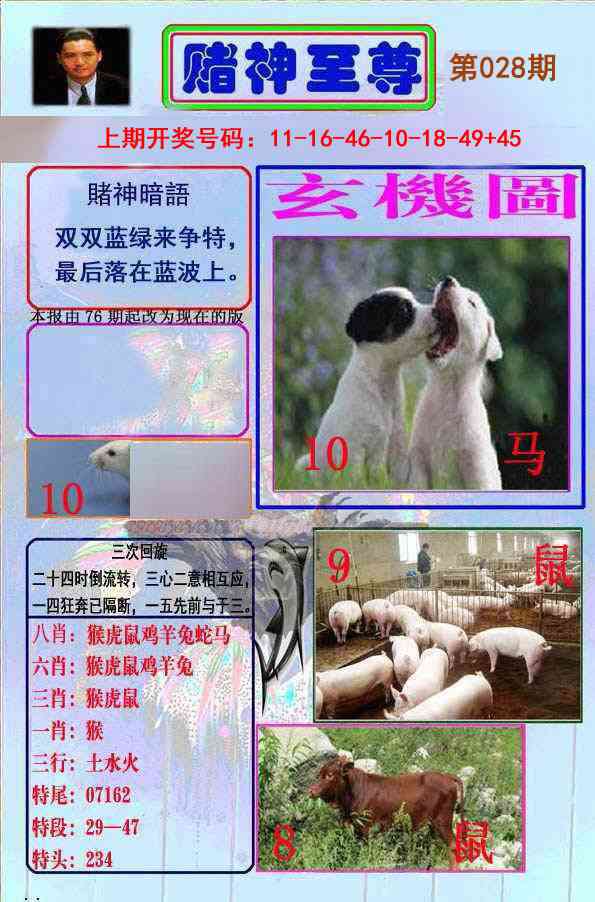 028期赌神至尊[图]