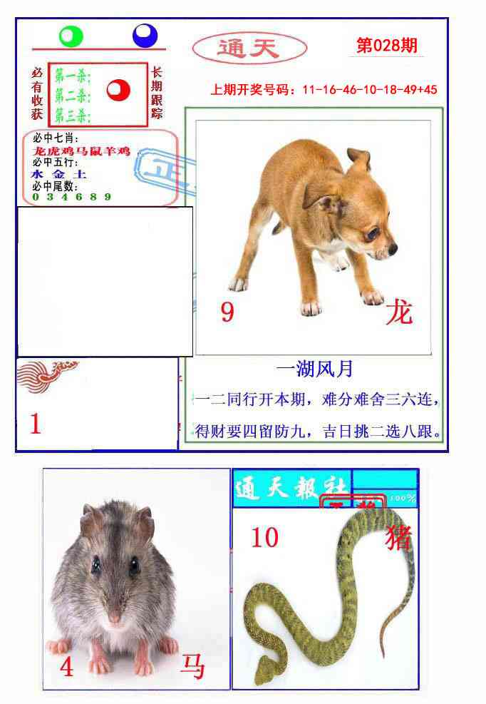 028期通天杀波图2[图]