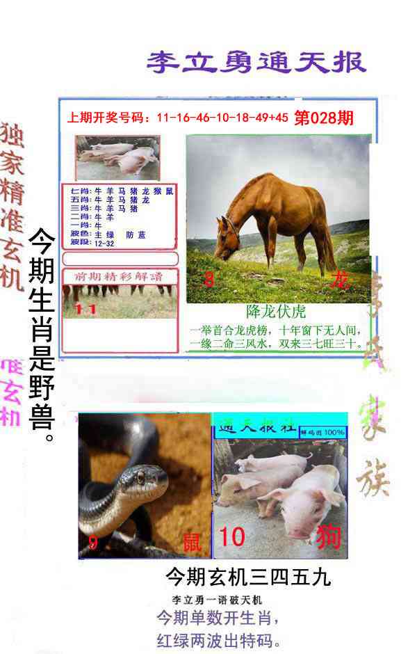028期李立勇通天报[图]
