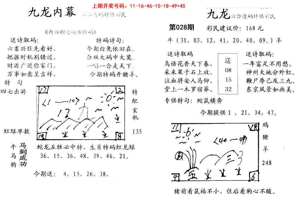 028期九龙内幕[图]