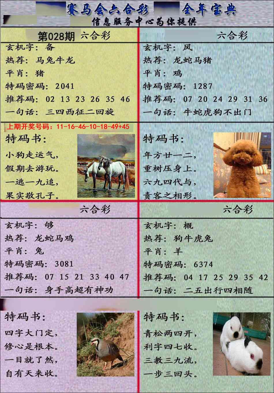 028期宝典报[图]