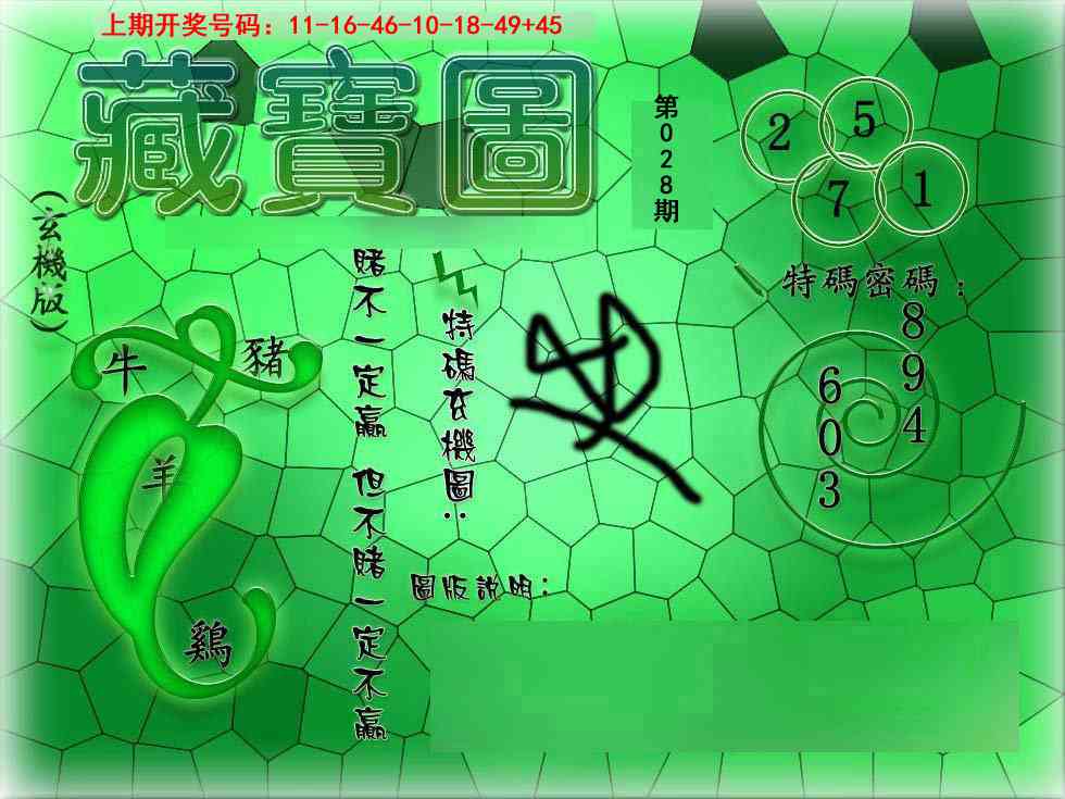 028期九龍玄机报[图]