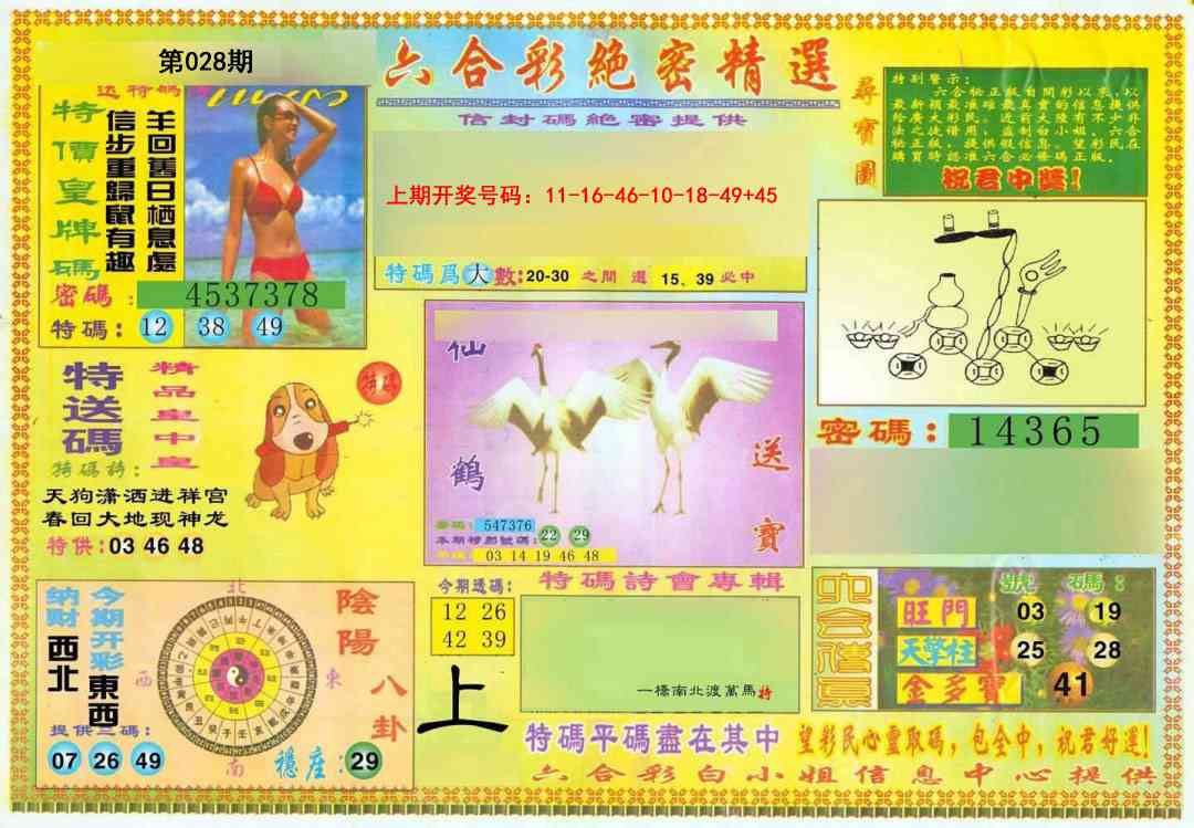 028期绝密精选A[图]