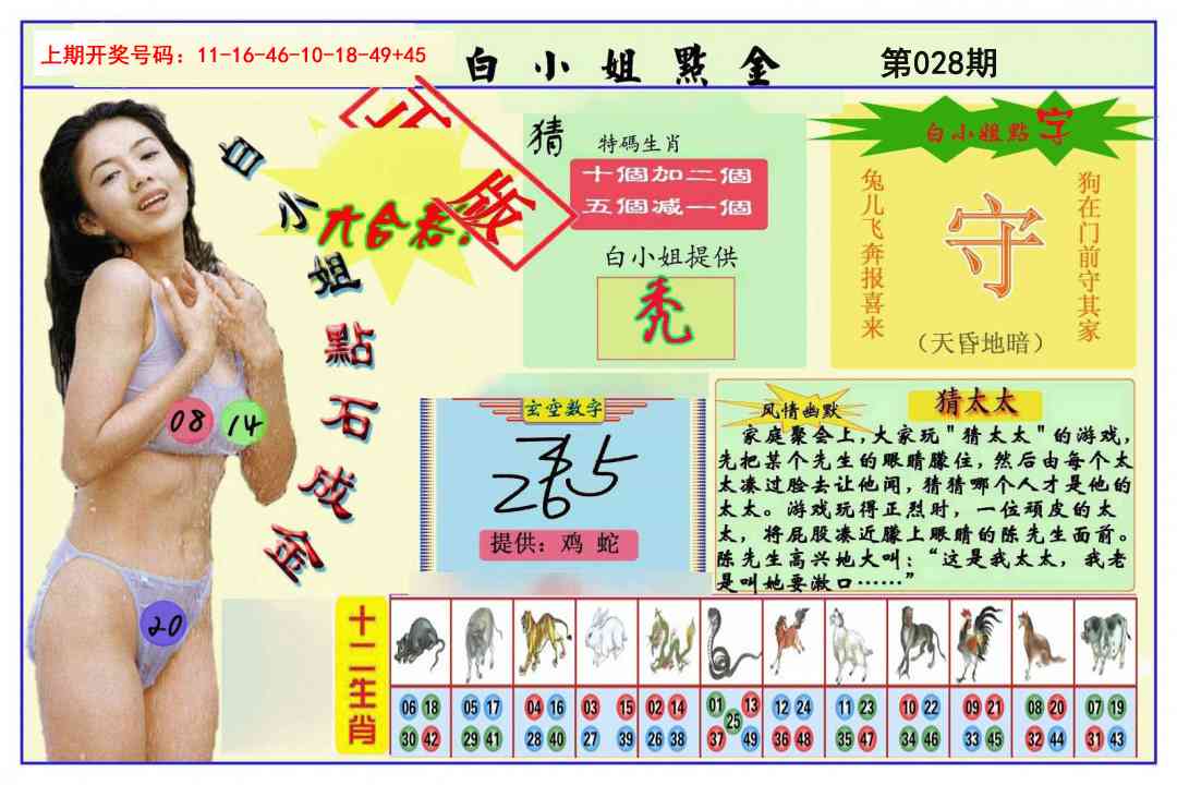 028期白小姐点金[图]