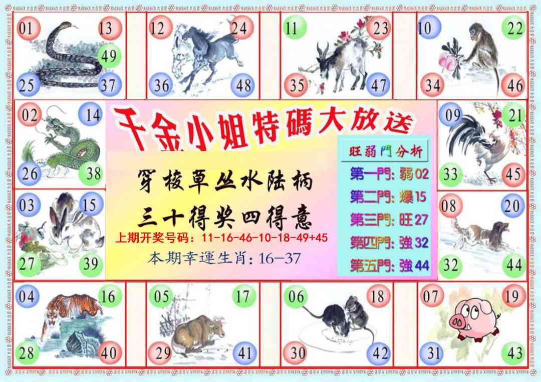 028期千金小姐B版[图]
