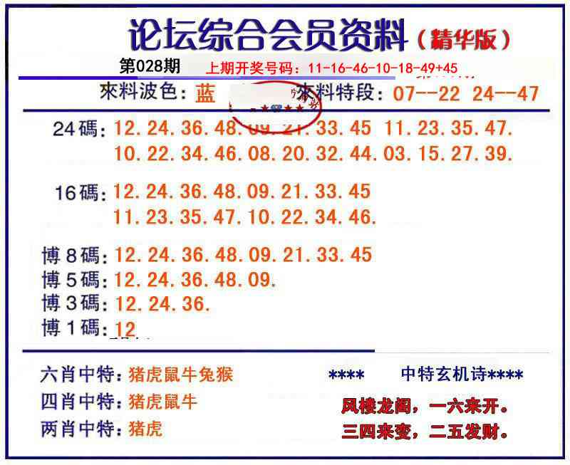 028期综合会员资料[图]