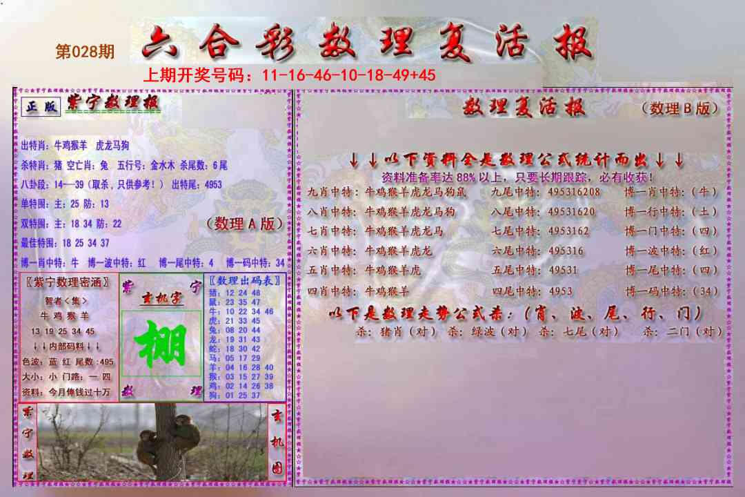 028期数理复活报[图]