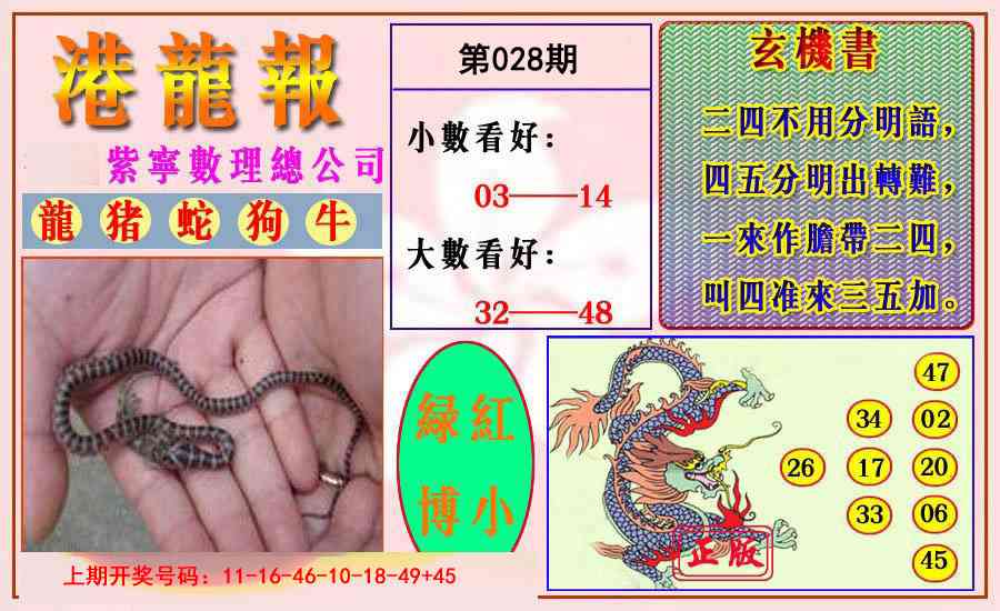 028期港龙报[图]