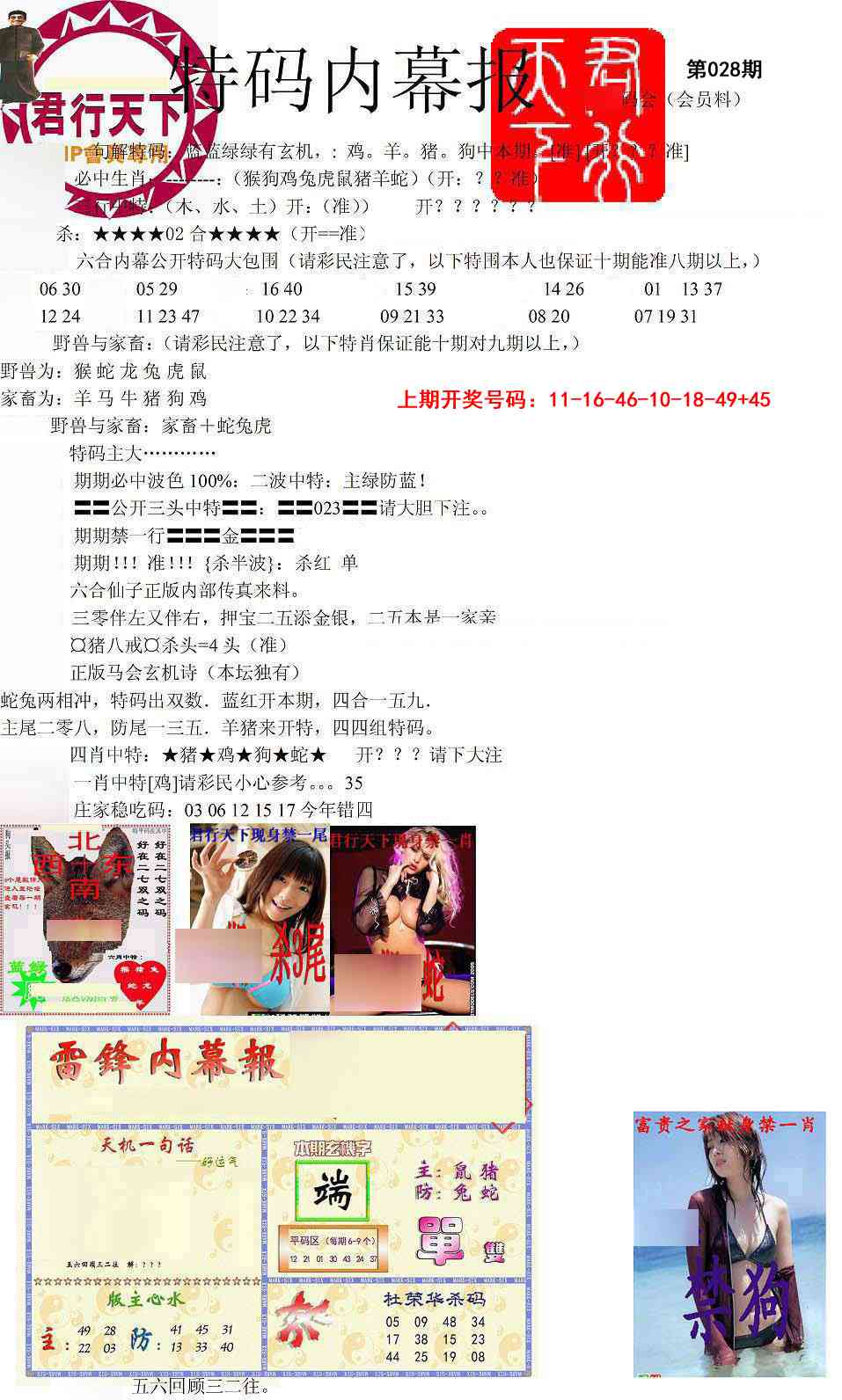 028期特码内幕报[图]