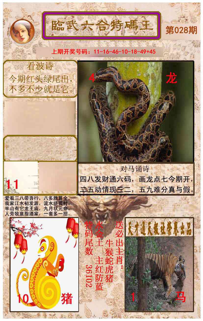028期临武六合特码王[图]