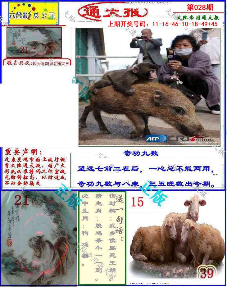 028期大陆通天报[图]