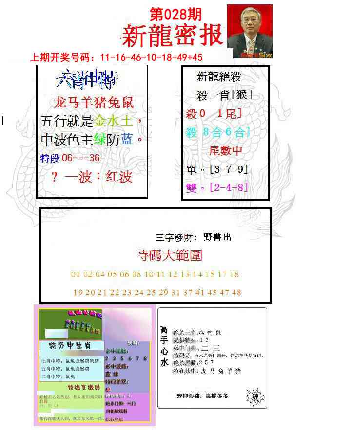 028期新龙密报[图]