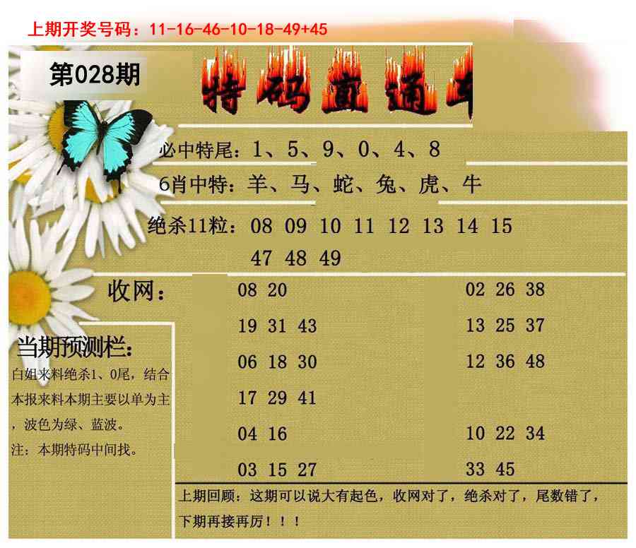 028期特码直通车[图]