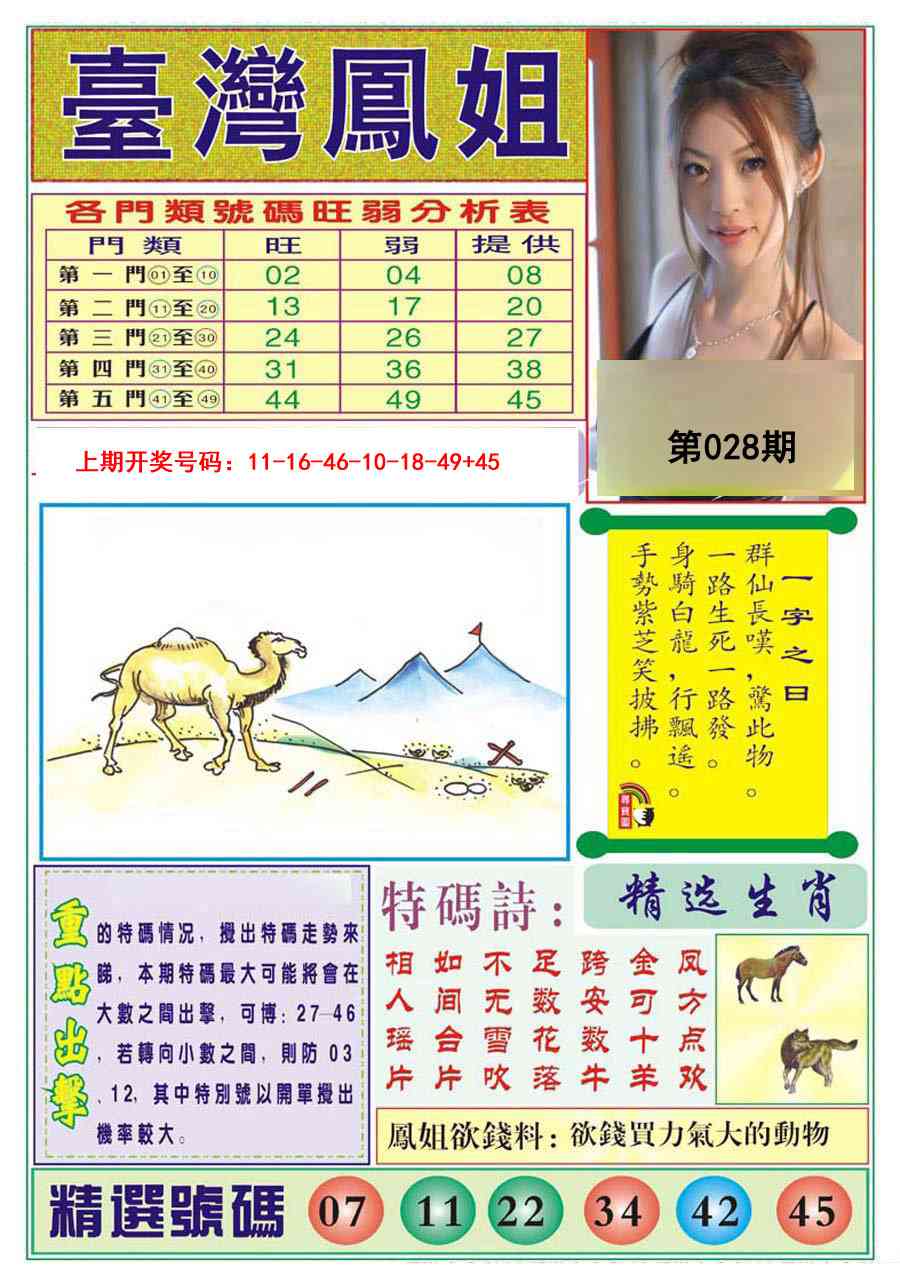 028期台湾凤姐[图]