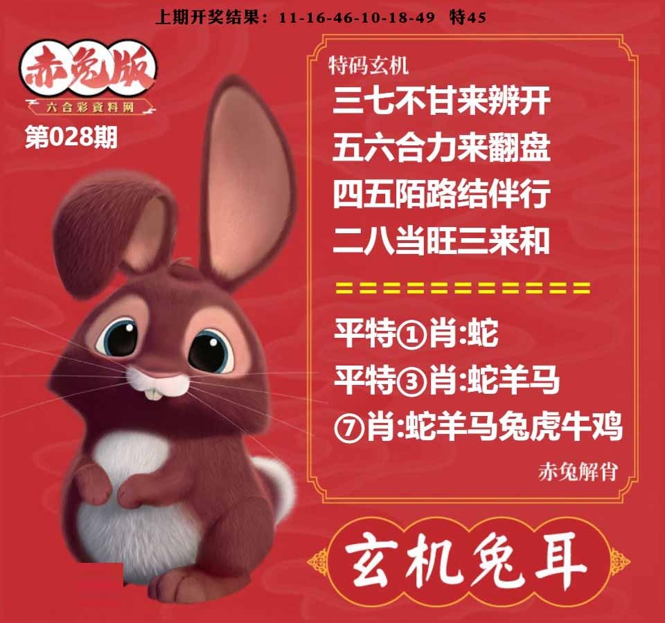 028期玄机兔耳[图]