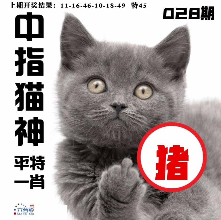 028期中指猫神[图]